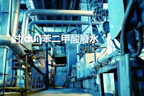 “對(duì)苯二甲酸廢水處理，綠色創(chuàng)新引領(lǐng)環(huán)保新篇章”